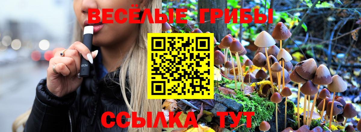 Ирбит  Галлюциногенные грибы ЛСД  Вход с VPN  Галлюциногенные грибы ЛСД 